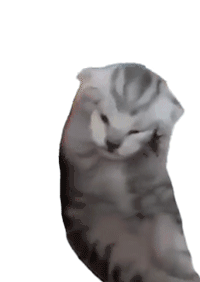 开发中